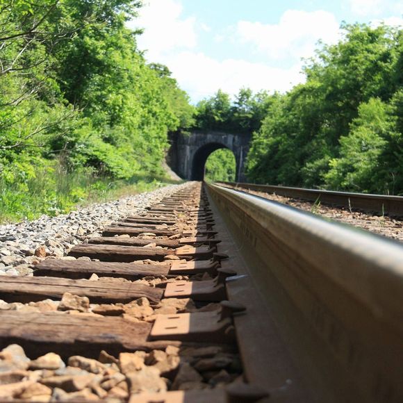 Meet your Posher, James - Picture 1 of 1